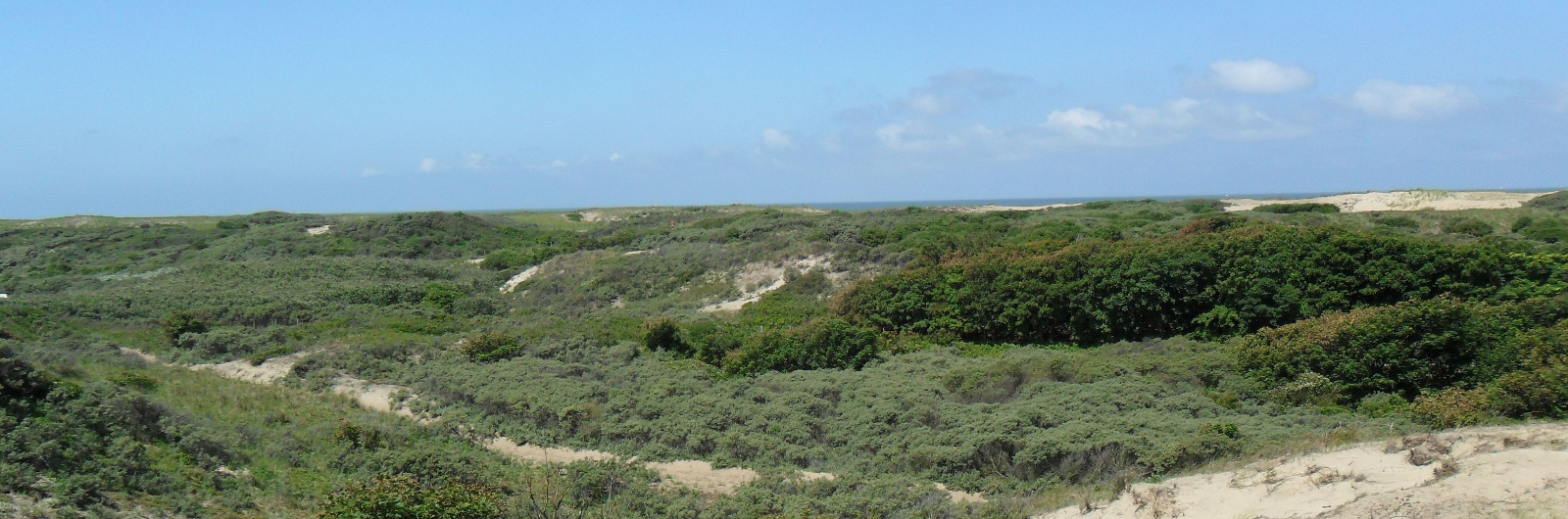Duinen