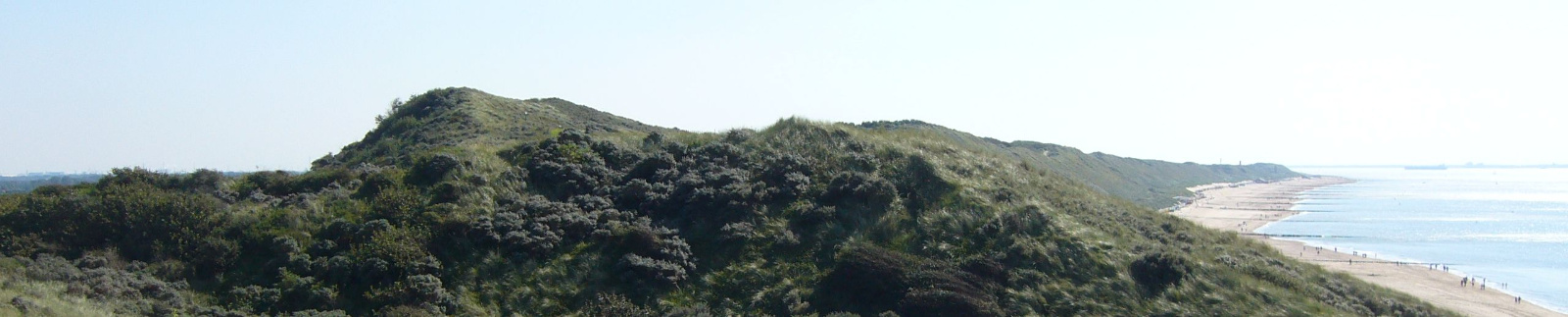 Zoutelande