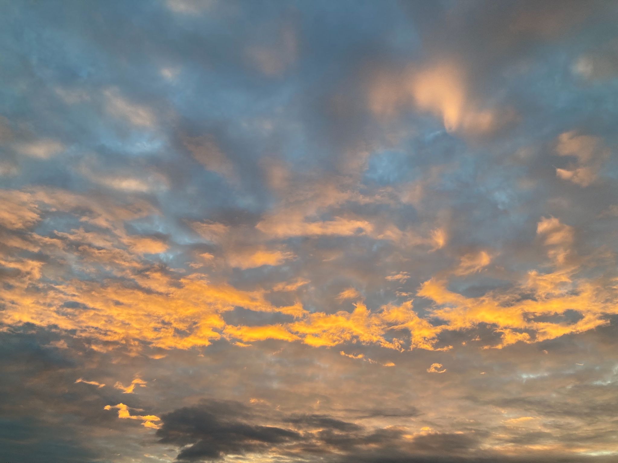 Avondrood
